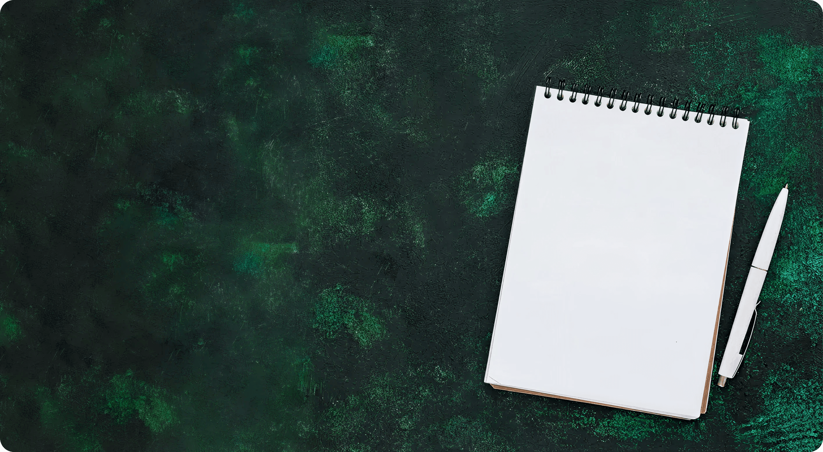 Buddy’s Burrow animals