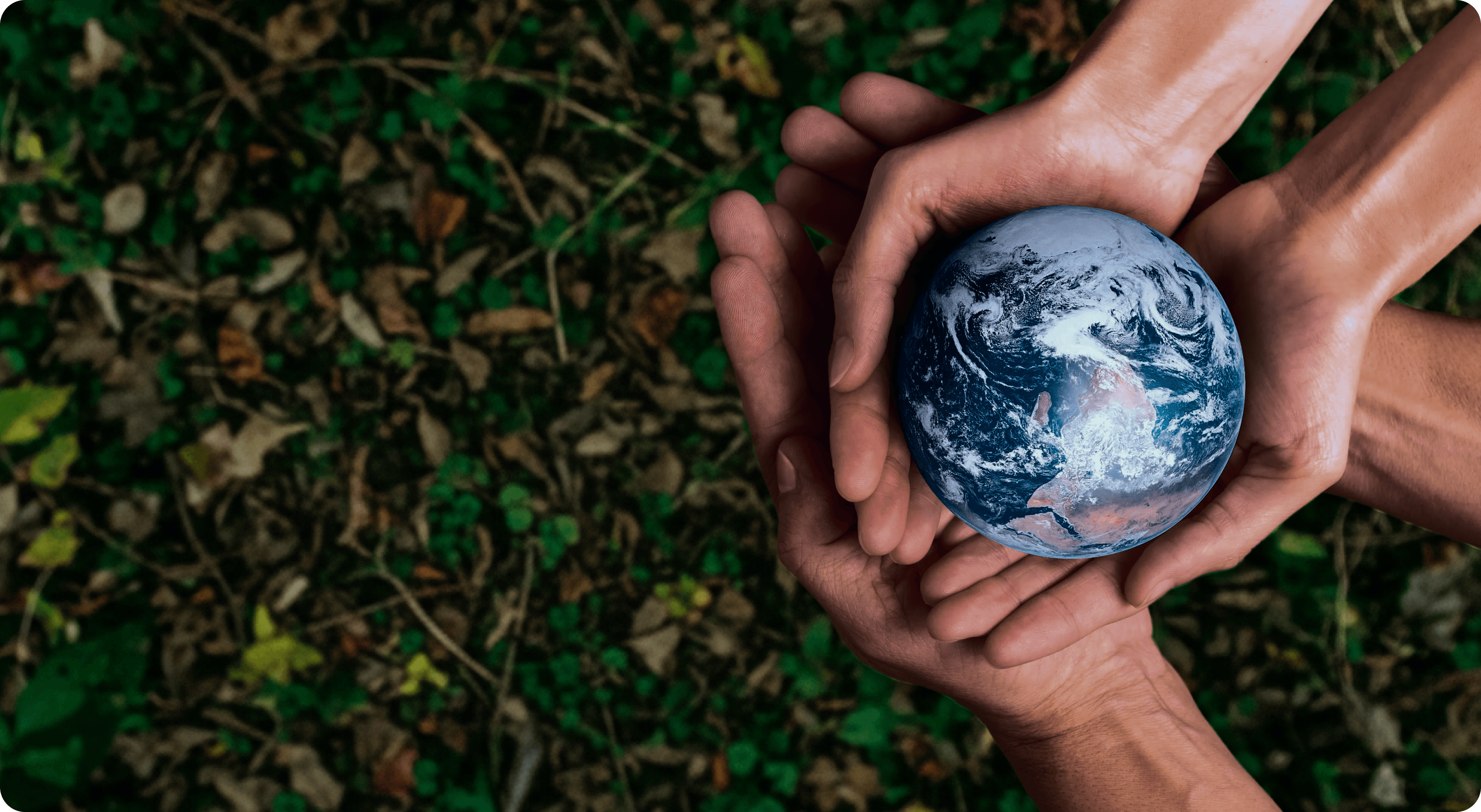 Buddy’s Burrow animals