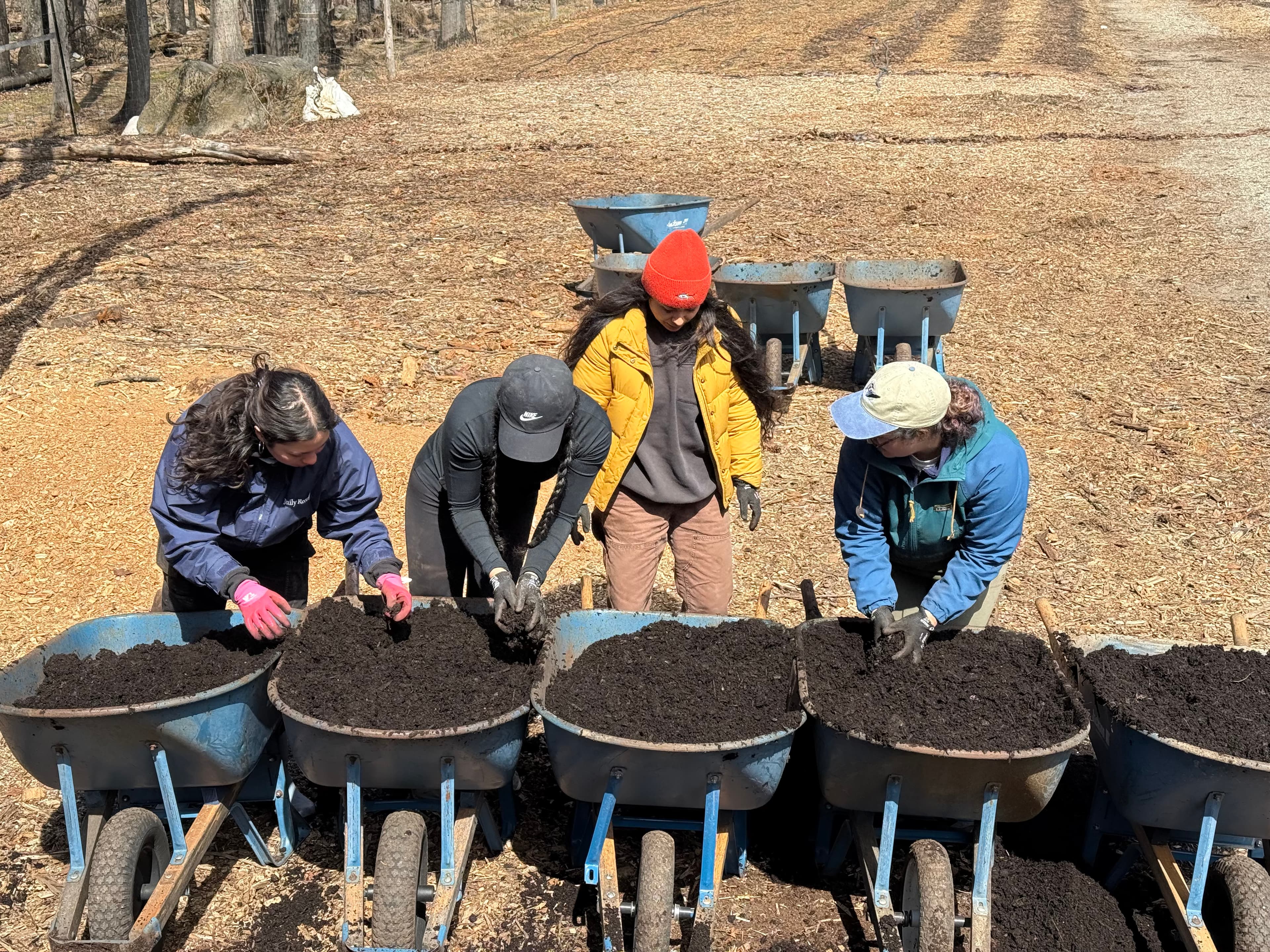 MEVO Farm Volunteering